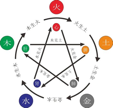 缺木的人|命中五行缺木的人怎么办 八字五行缺木怎么补